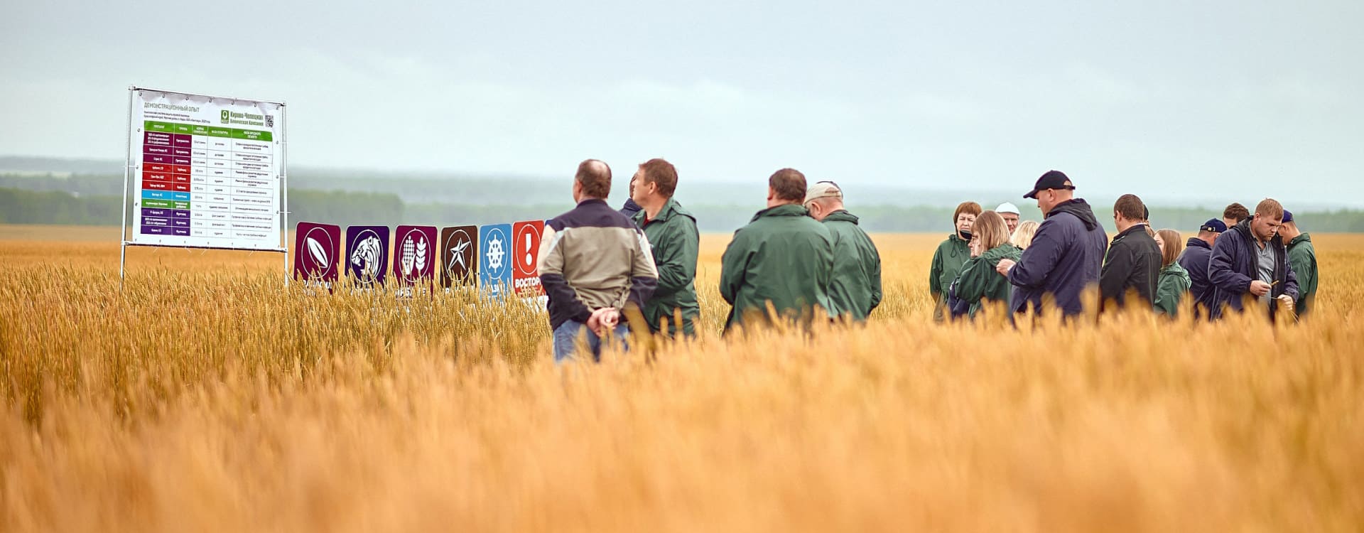 KCCC GROUP. Comprehensive protection of your crop