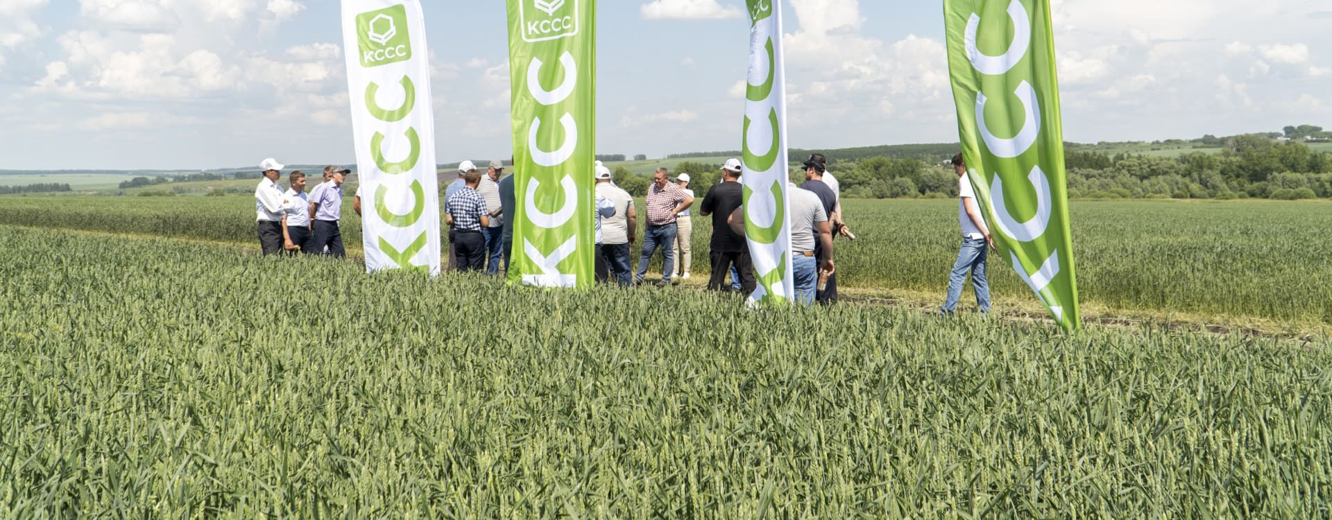 KCCC GROUP. Our solutions for agricultural crops