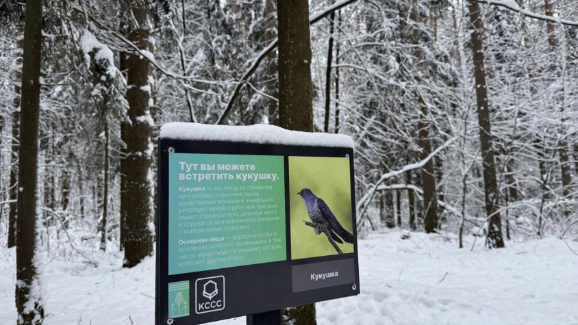 Кирово-Чепецкий завод «Агрохимикат» подарил жителям города тропу здоровья!. Изображение 4 из 9