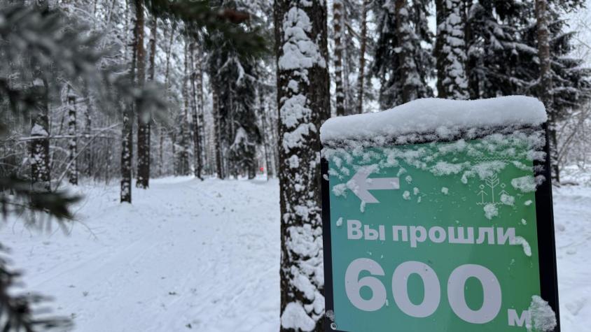 Кирово-Чепецкий завод «Агрохимикат» подарил жителям города тропу здоровья!. Изображение 7 из 9